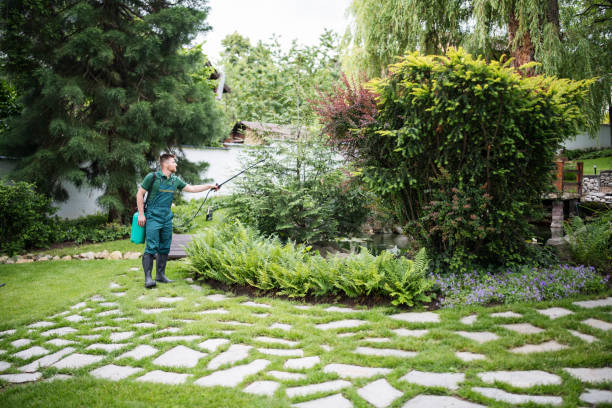 Best Lawn Watering Services  in Wahpeton, ND