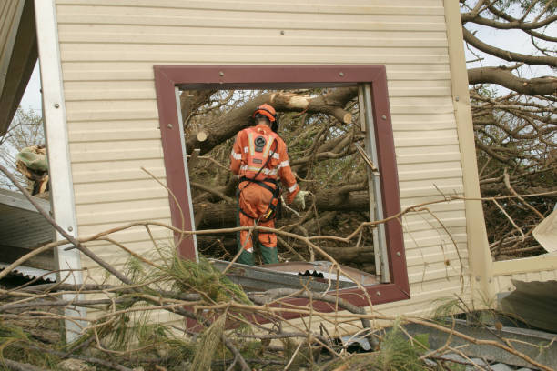 Professional Tree Services in Wahpeton, ND